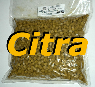 Houblon Citra